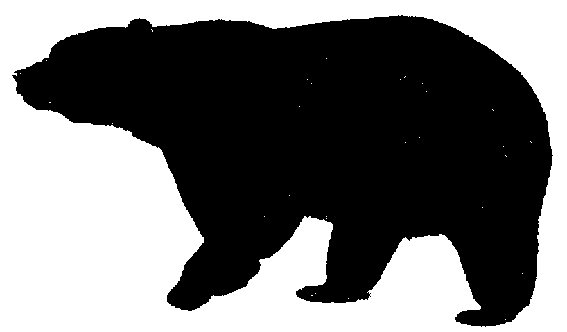 818x479 Standing Black Bear Drawing Free Clipart Images
