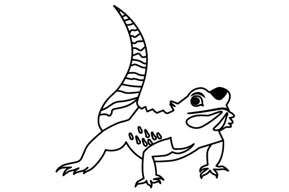 580x386 Bearded Dragon