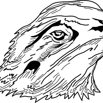 360x360 Beardies Are A Girls Best Friend Photographic Print