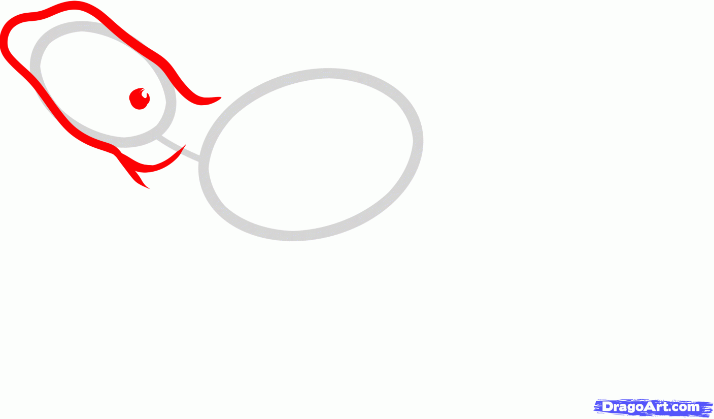 1407x825 Draw A Bearded Dragon, Bearded Dragon Lizard, Step