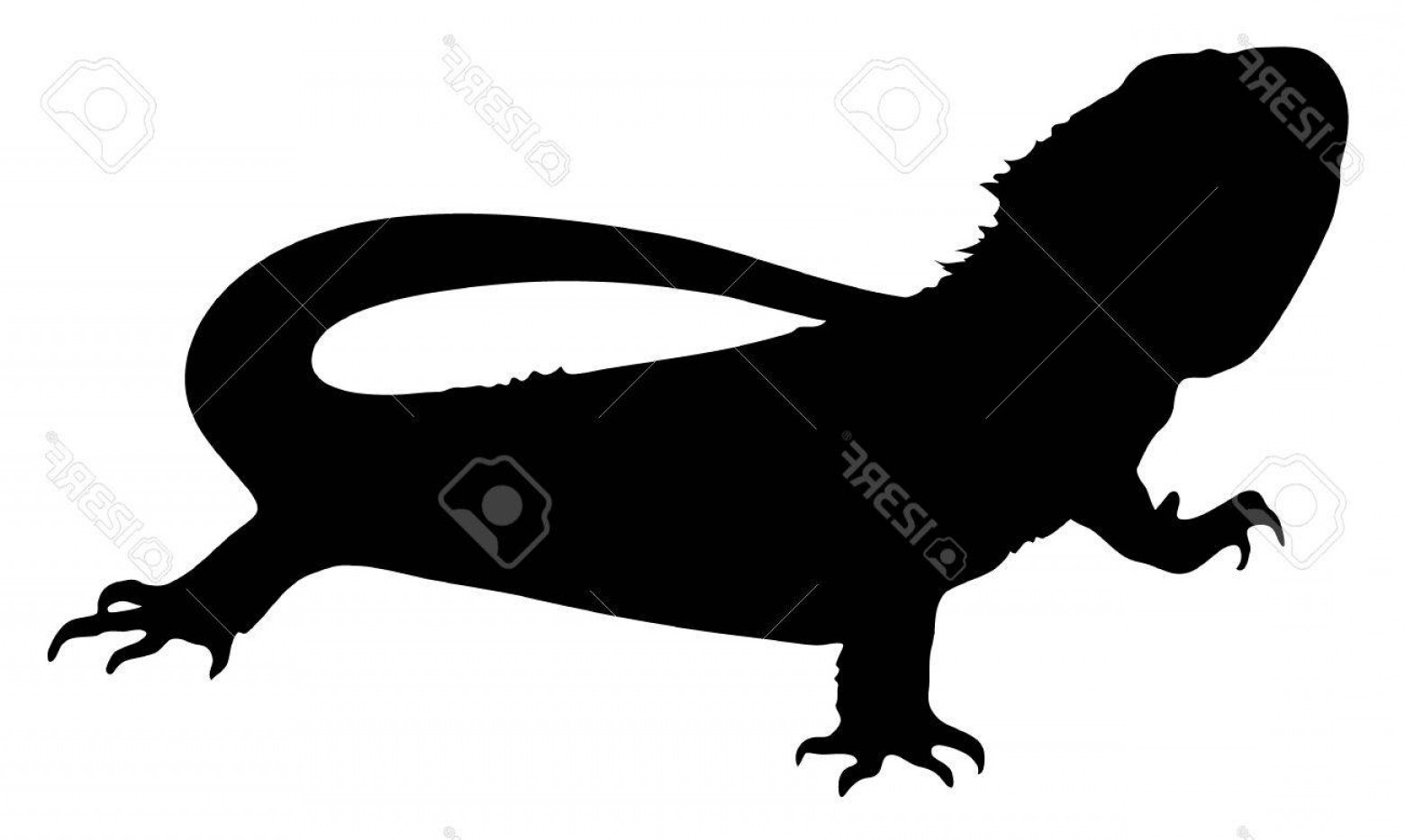 1560x933 Photovector Graphic Silhouette Of A Bearded Dragon Soidergi