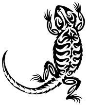 179x216 Tattoos Of Bearded Dragon Bearded Dragon Tattoo For Jonpaul
