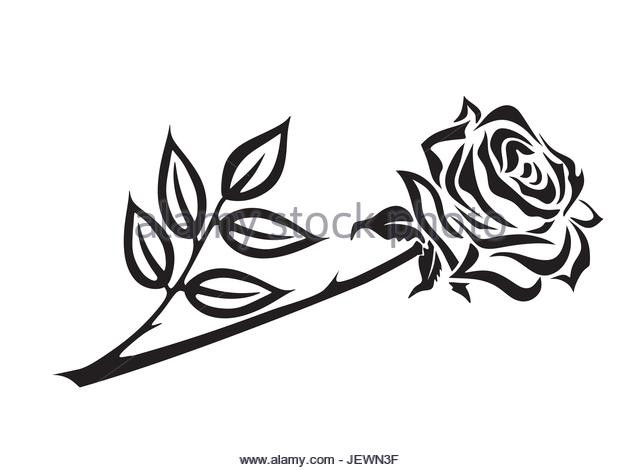640x470 beauty and the beast rose drawing beauty and the beast rose