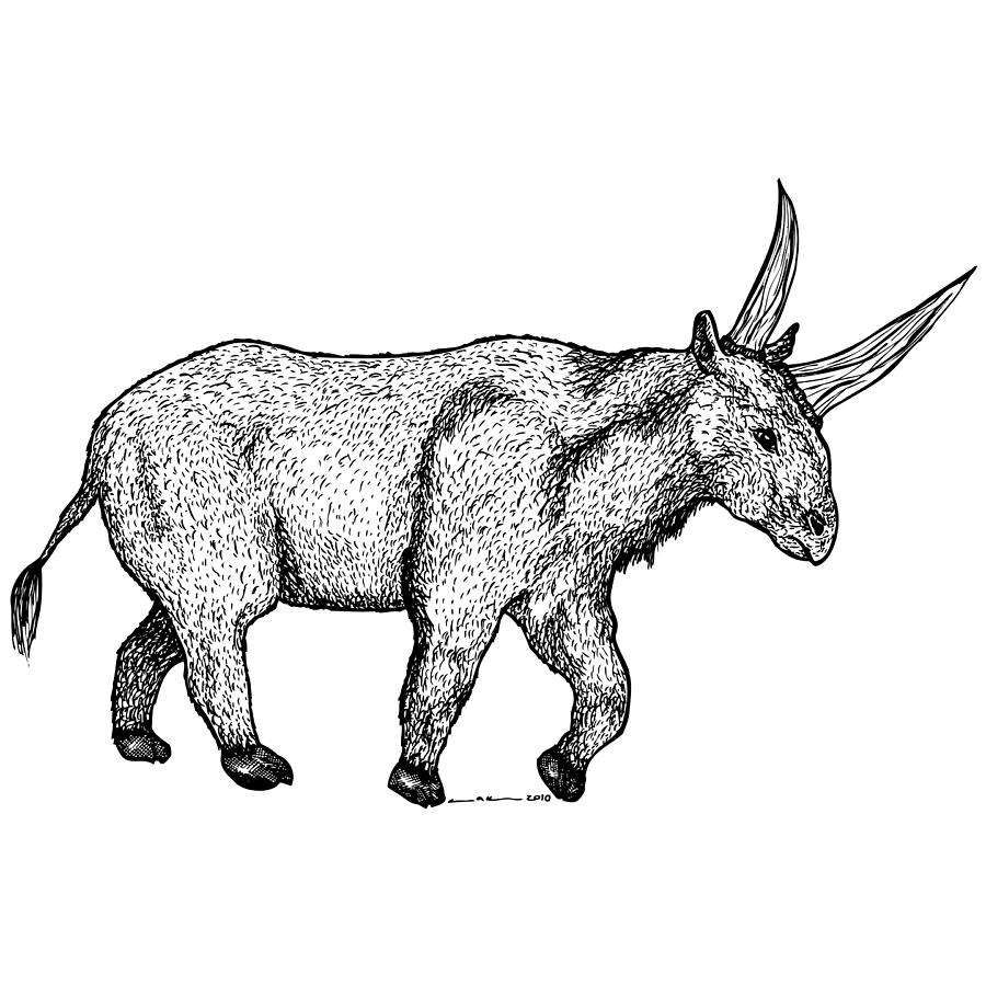 900x900 Horn Beast Drawing