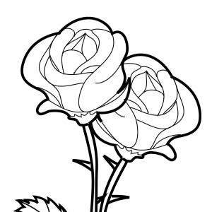 300x300 Beauty And The Beast Rose Drawing Step