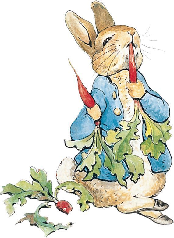 571x781 details about peter rabbit beatrix potter children's bedroom