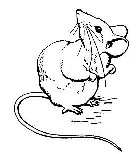 272x305 Two Bad Mice