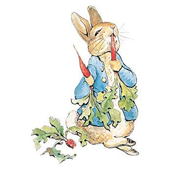 350x350 wee blue coo helen beatrix potter peter rabbit radishes wall art