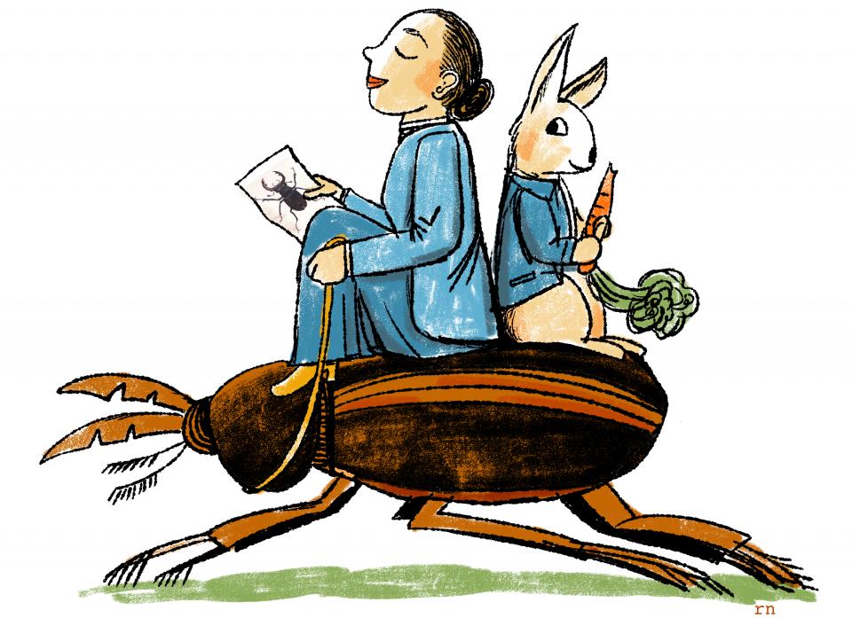 960x697 at beatrix potter continues to delight uu world magazine