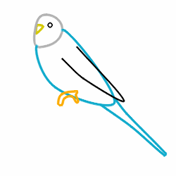 250x250 Drawing Cartoon Birds