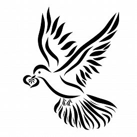 275x275 Flying Birds Drawing Photos And Images