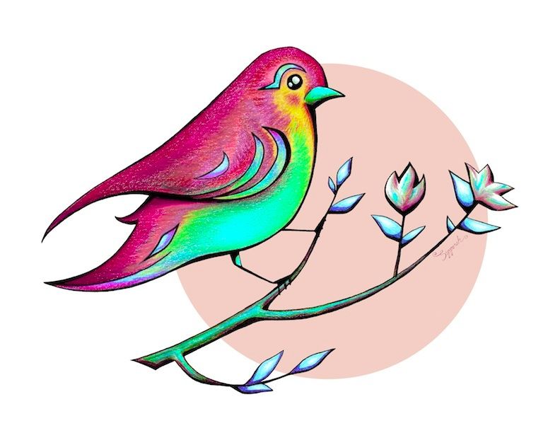 792x612 Beautiful Spring Morning Bird And Flowers Colorful Bird