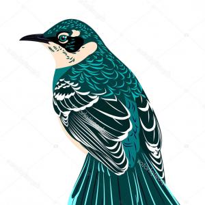 300x300 Beautiful Bird Icons Colorful Birds Cartoon Sohadacouri