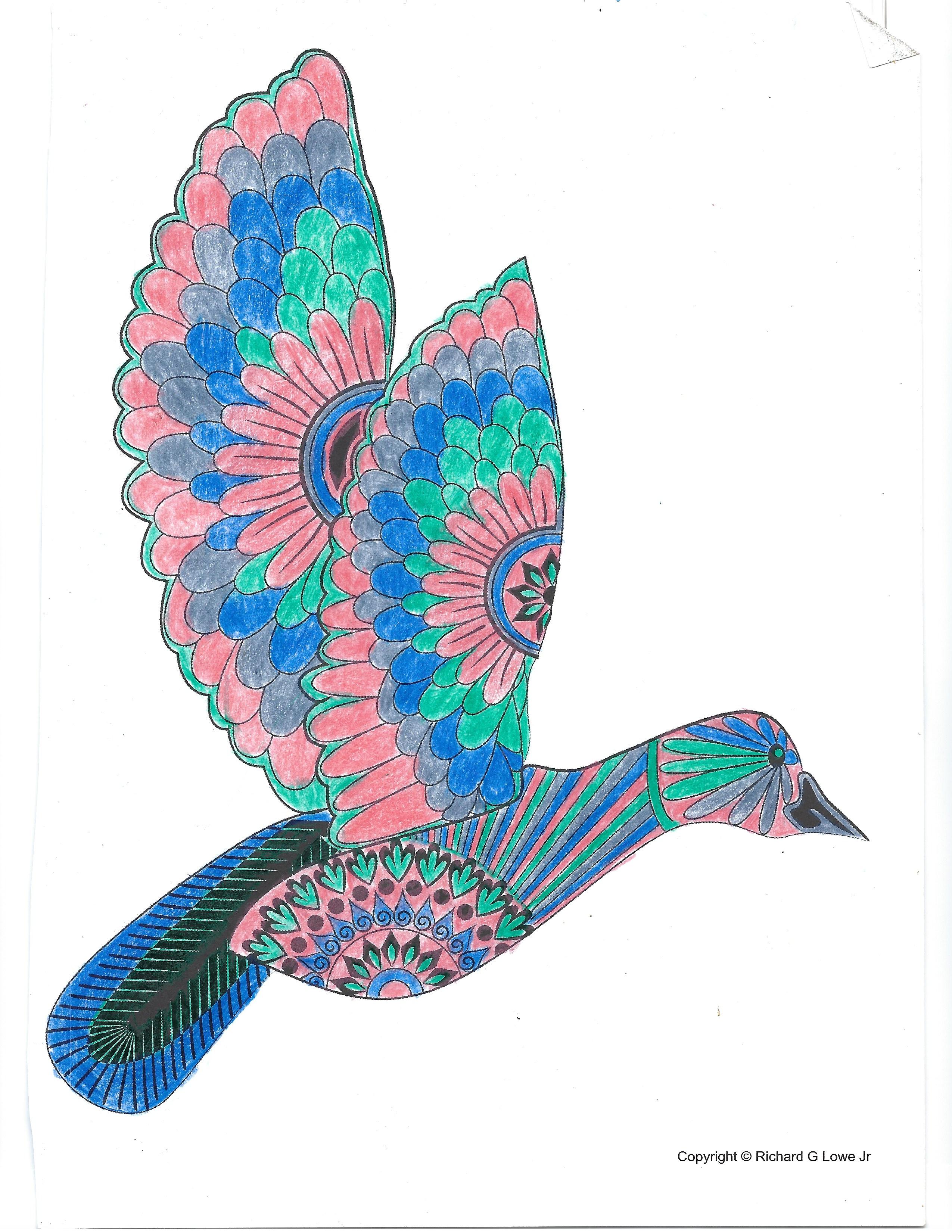 2550x3300 Beautiful Birds Adult Coloring Book Richard Lowe Author