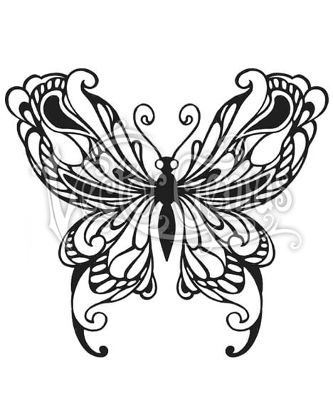 468x580 Beautiful Butterfly Stock Art