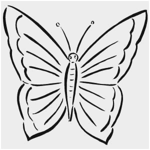 300x300 Coloring Pages Butterfly Pictures Astonishing Beautiful