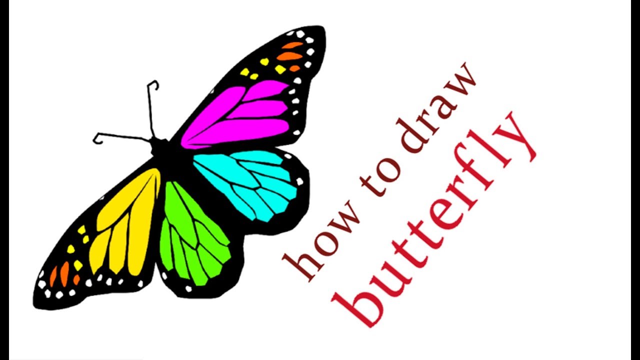 1280x720 How To Draw A Beautiful Butterfly, Draw Insects
