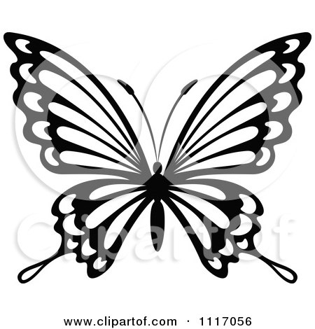 450x470 Beautiful Butterfly Black And White Ecosia For You Aspen Nyc