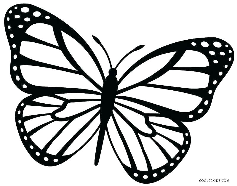 Beautiful Butterfly Drawing | Free download on ClipArtMag