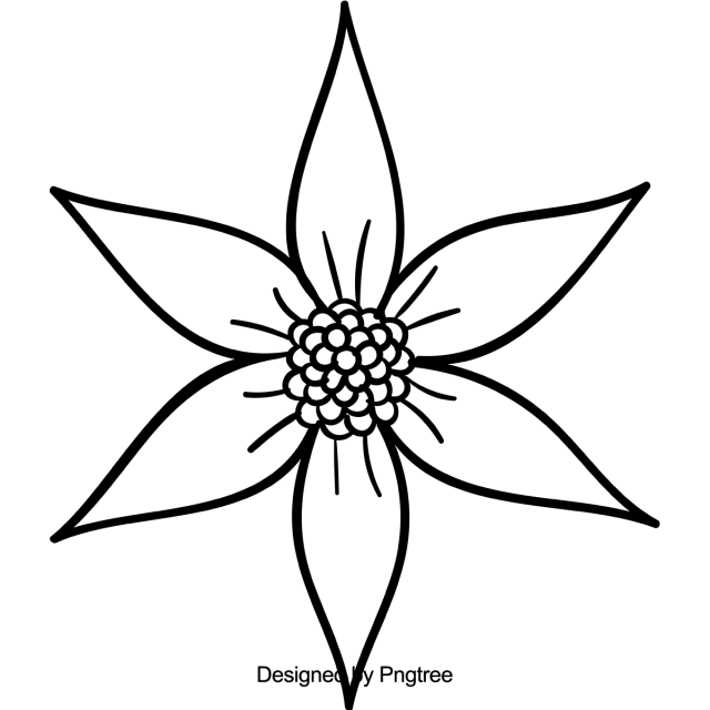 640x640 Beautiful Cartoon Hand Sketching Flowers, Beautiful, Cartoon, Hand