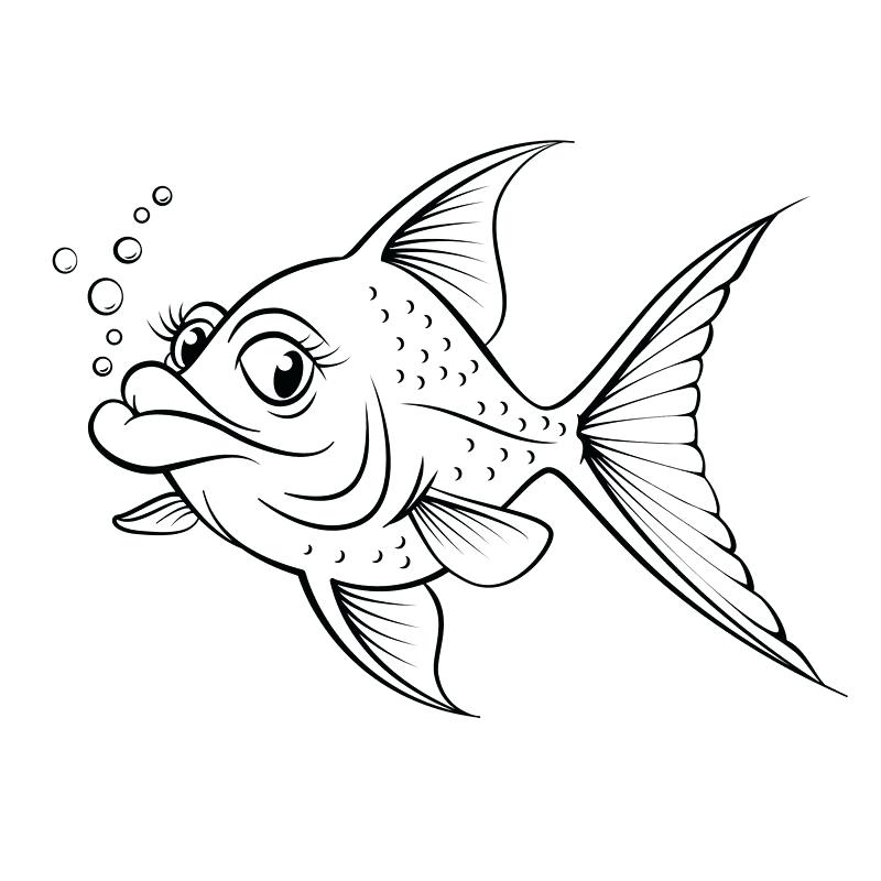 800x800 Cartoon Drawings Of Fish Best Fish Images Fish Beautiful