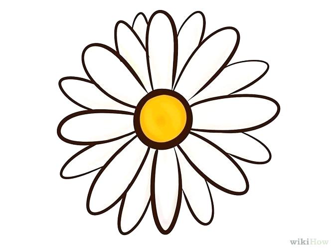 670x503 Pretty Flowers Drawings Medium Size Of Cute Rose Coloring Pages