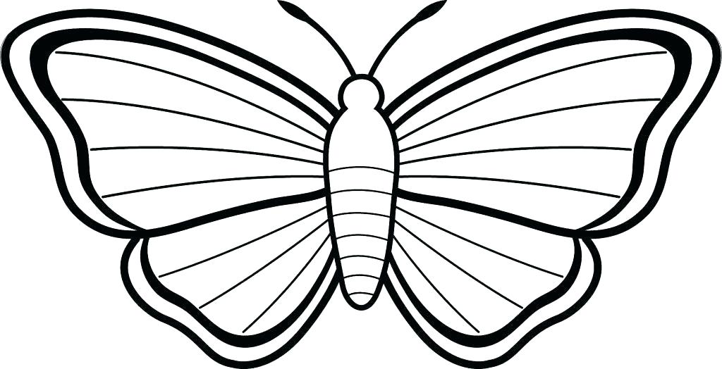 1024x524 Pretty Butterfly Drawings