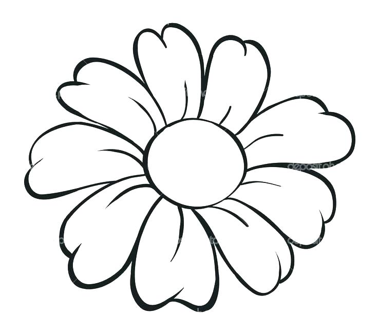 736x648 Easy Pretty Drawings Of Flowers