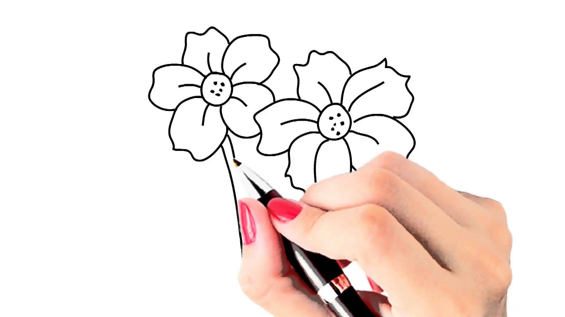 1920x1080 Beautiful Flower Drawings Step