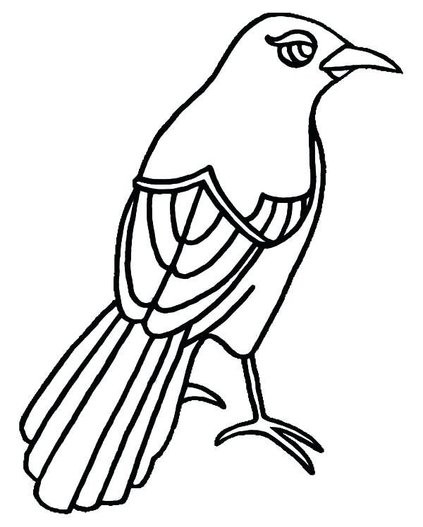 600x748 Eyeball Coloring Pages Mockingbird Has Beautiful Eye Coloring