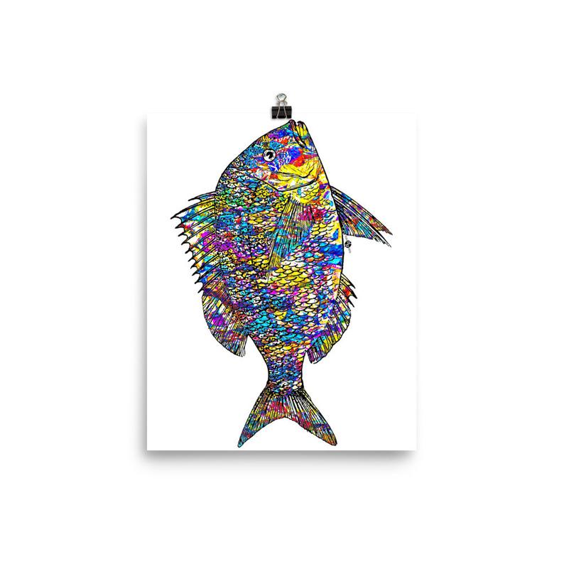 794x794 Fish Fishing Fisherman Aquarium Tropical Rainbow Beautiful Etsy