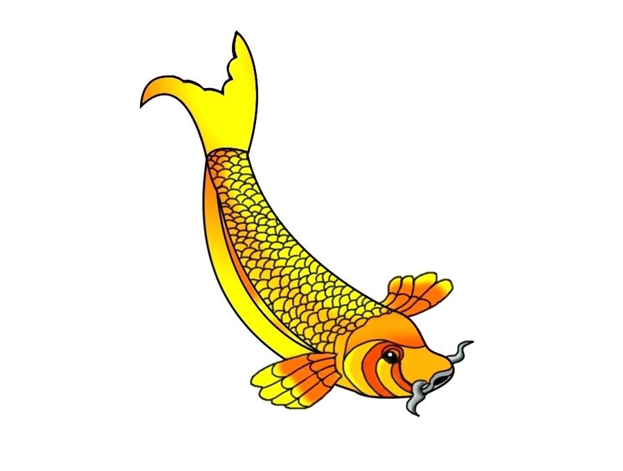 900x680 Gold Fish Drawing Goldfish Drawing Realistic