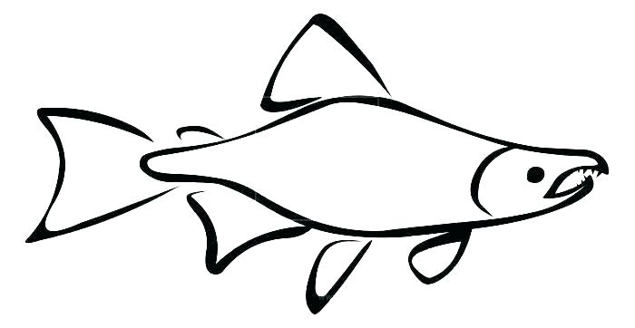 700x362 Simple Fish Outline Simple Fish Outline Beautiful Outline Picture