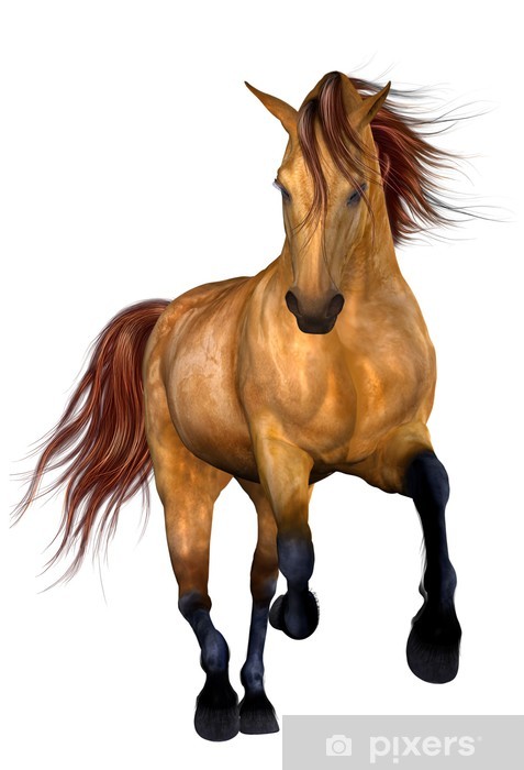 477x700 Beautiful Horse Wall Mural We Live To Change