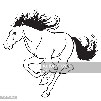 416x416 Beautiful Horse Premium Clipart