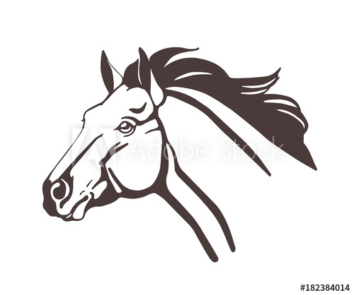 500x418 Horse Head Drawn With Contour Lines Isolated On White Background