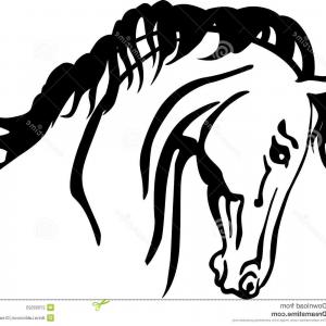 300x300 Stylized Horse Head Silhouette With Beautiful Vector Soidergi