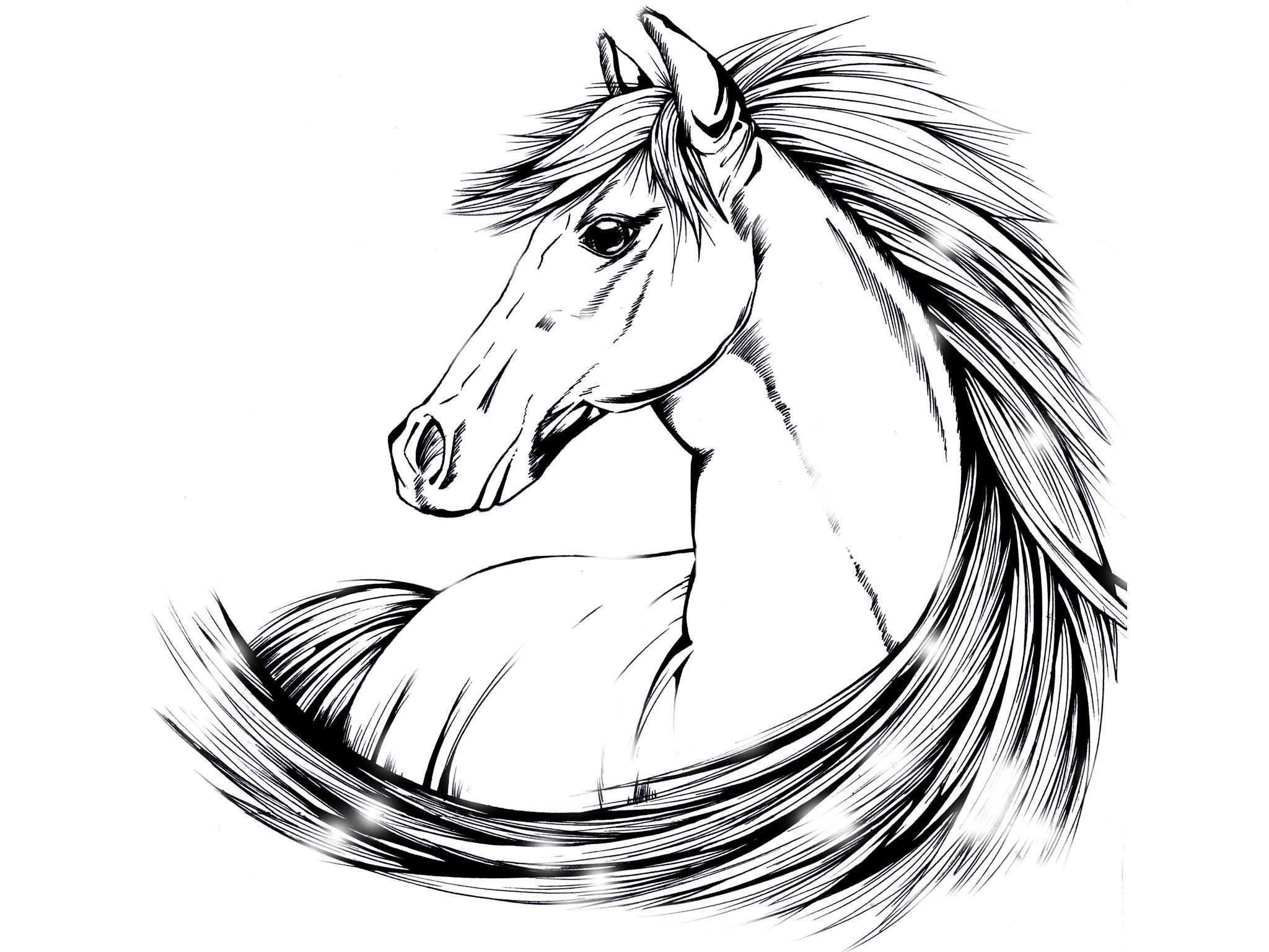 2048x1536 Indian Horse Tattoo Designs Beautiful Horse Drawing Wallpaper