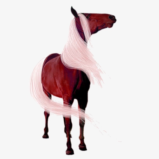 650x650 Beautiful Horse, Horse Clipart, Horse Png Image And Clipart