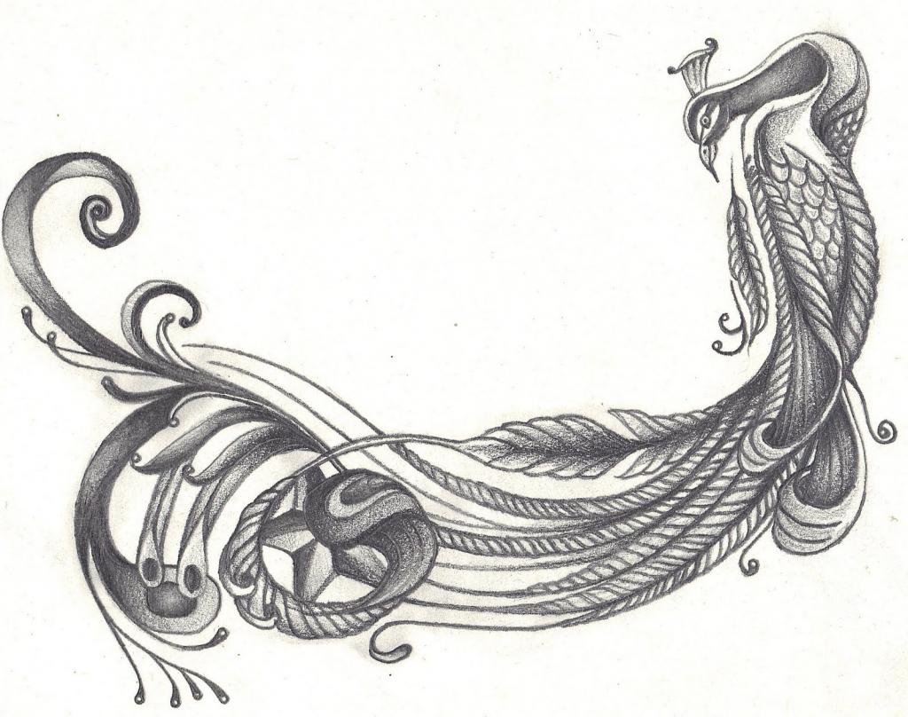 1024x808 Peacock Drawing Gangster For Free Download