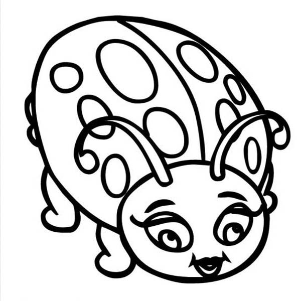 600x600 Beautiful Lady Bug Coloring