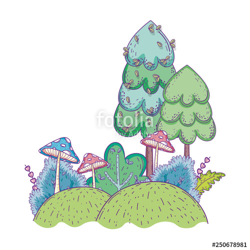 500x500 Beautiful Forest And Fungus Landscape Scene Stock Image