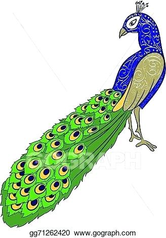 328x470 Drawing Peacock Color Pencil Drawing Peacock Pencil Drawings