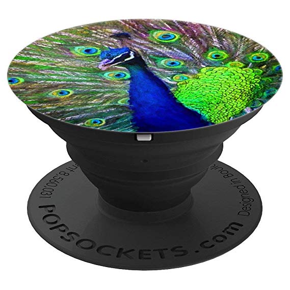 569x569 Unique Painting Peacock Drawing Art