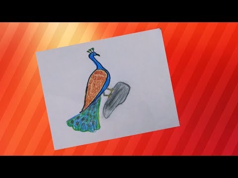 480x360 How To Draw A Peacock Easy