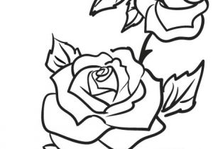 300x210 Draw A Basic Rose Beautiful Rose Drawings And Paintings