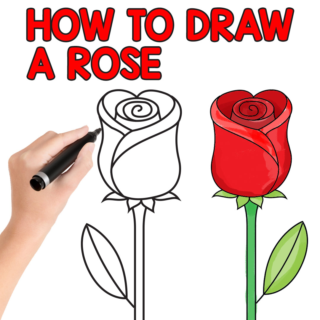 1080x1080 Draw A Beautiful Rose In Step