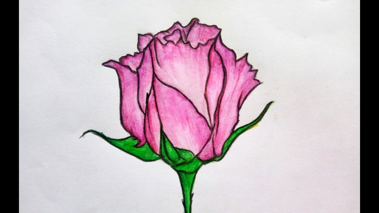 1280x720 Learn How To Draw A Beautiful Rose With Watercolour Pencil
