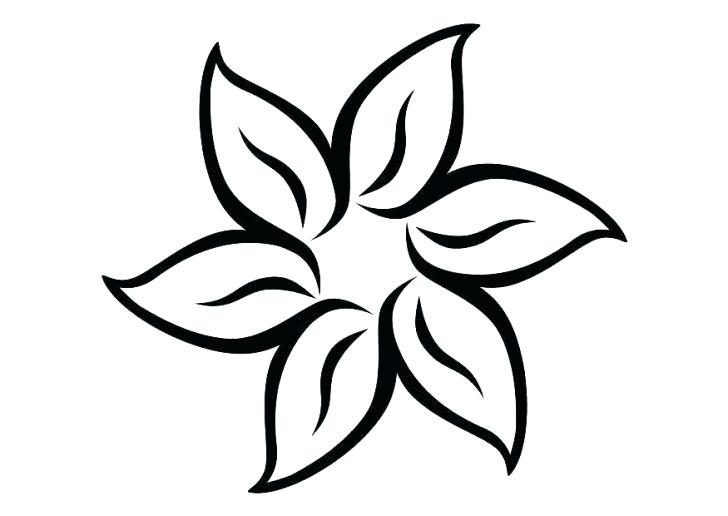 728x516 Pretty Flowers To Draw Image Titled Draw Flowers Step Pretty