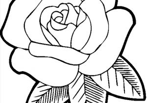 300x210 Beautiful Rose Drawing Easy